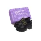 Black+Box