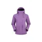 Bellflower Purple