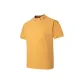 Ginger Yellow