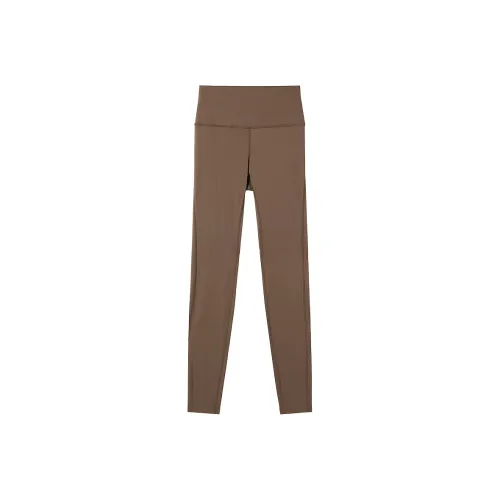 Miss Sixty Casual Pants Women's Dark Coffee