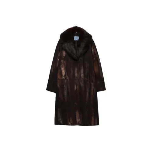 PRADA Coats Women's Cocoa Brown