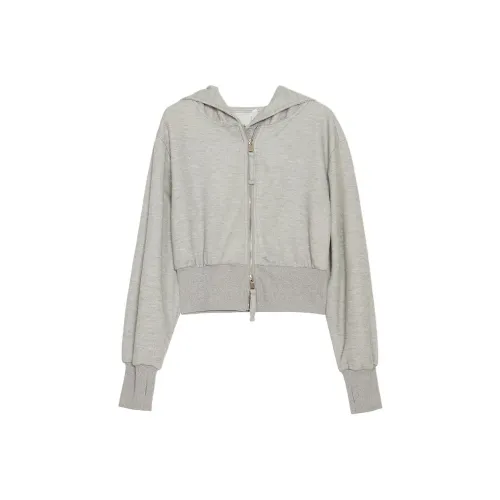 Vine Color Sweatshirt Women's Gray