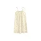 Apricot D13304
