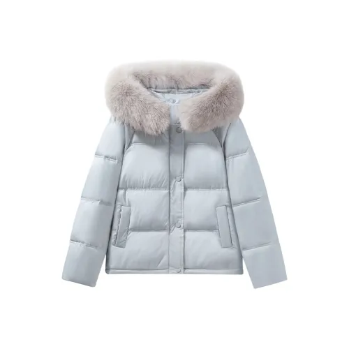 PAZZO Loose Fit Versatile Elegance Cropped Puffer Jacket Women's
