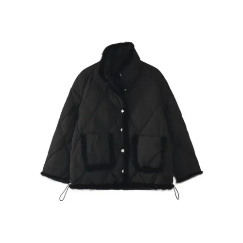 PAZZO Puffer Jackets Women's
