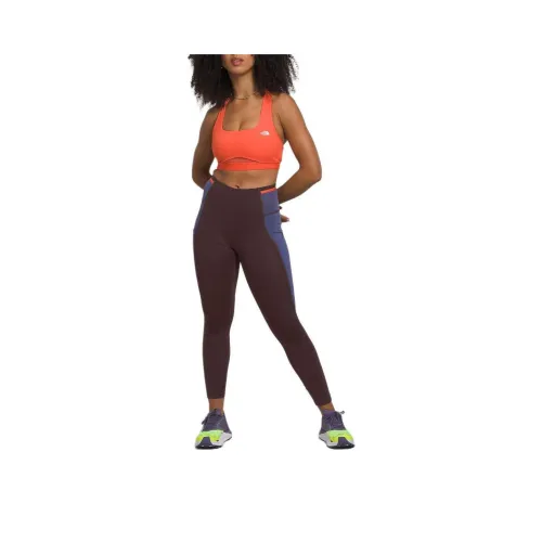 THE NORTH FACE Leggings Women's Coal Brown/Cave Blue