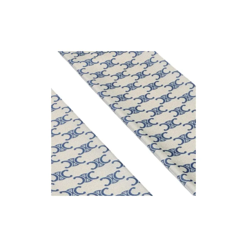 CELINE Silk Scarves Women's Light Blue-3
