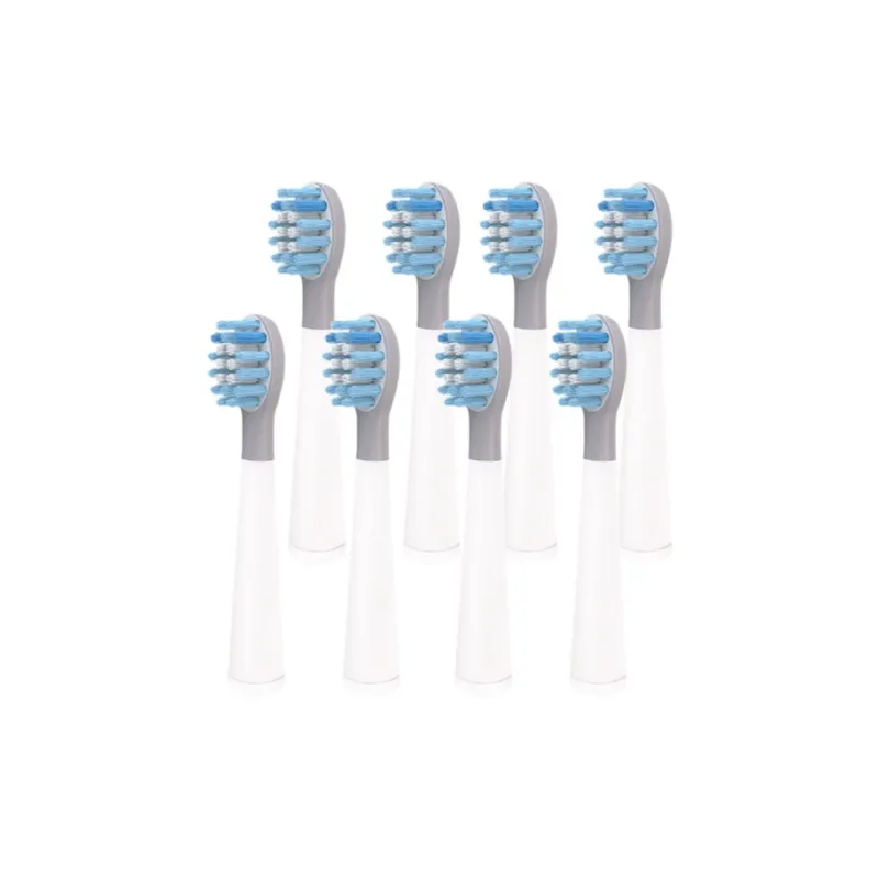 Fly Toothbrush Heads-3