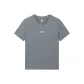 Iron Gray