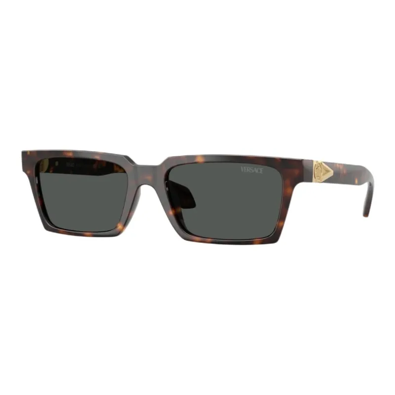 VERSACE VE4490U Sunglasses-4