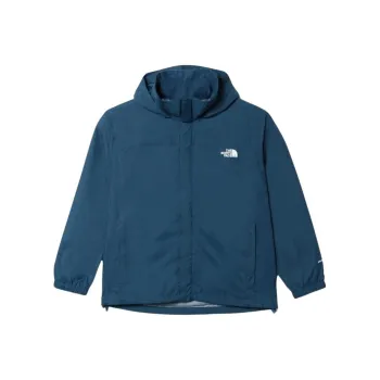 THE NORTH FACE Jackets & Coats Men's Blue