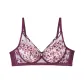Rose Purple