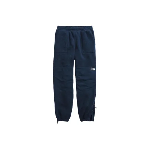 THE NORTH FACE Ripstop Denali Pants Knitted Sports Pants Women's Blue