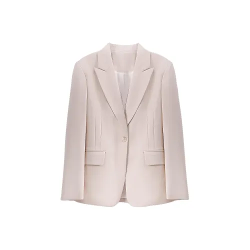 Dajia Poetry Spring Business Suit Women's