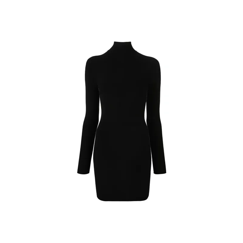 Alexander Wang Intarsia knit Logo Long sleeve Dress-0