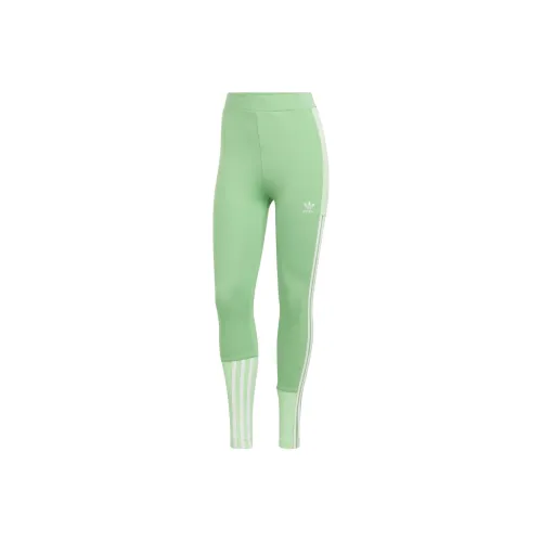 Adidas Originals Knitted Sweatpants Women's from Green