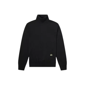 DIOR X Kaws Bee Logo Turtleneck Wool Knit Sweater
