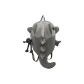 Gray Shark