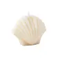 White Large Scallop
