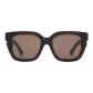 Tortoiseshell