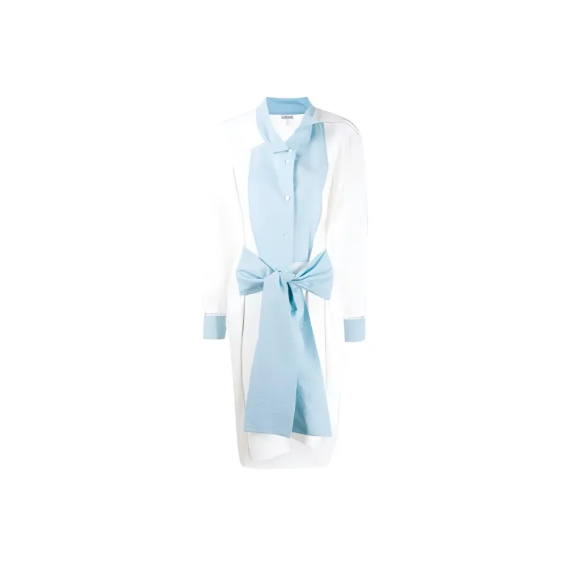 LOEWE FW21 Long-Sleeved Dresses Women's Blue-0