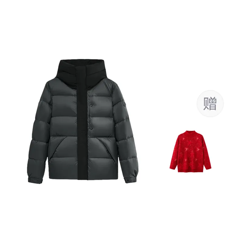 RED DRAGONFLY Puffer Jacket Unisex-11