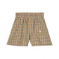 Small Plaid Brown