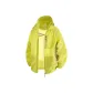 Evening Primrose Yellow