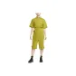 Medium Olive