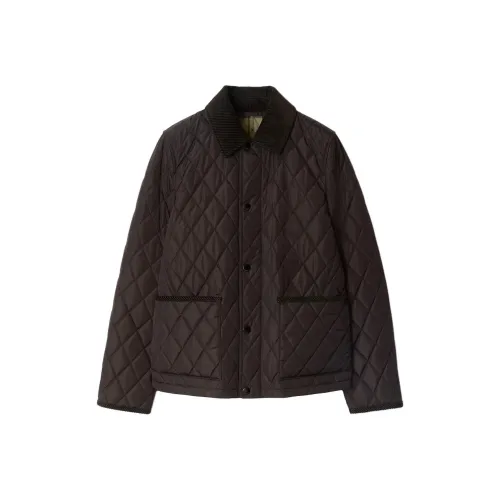 Burberry Puffer Jacket Women's Dark Brown