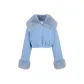 ROBIN EGG Blue