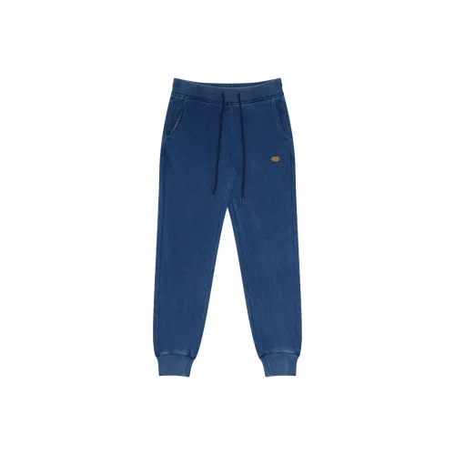 Dickies Jeans Women's Navy Blue