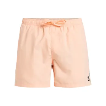 Quiksilver Everyday Beach Swimming Shorts Men's Peach Pink