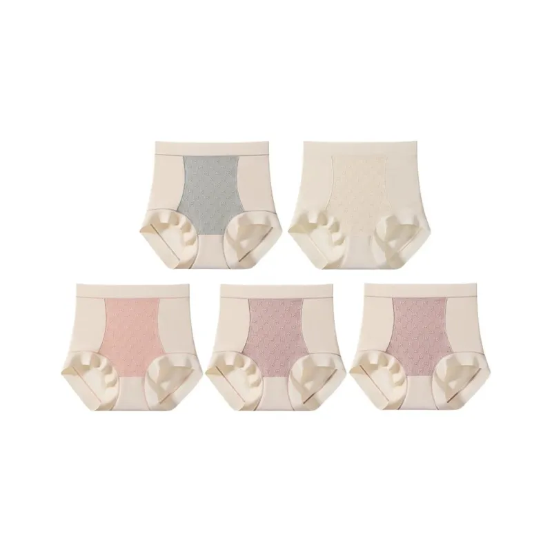 Montagut Underpants Women's 5 Pack-15