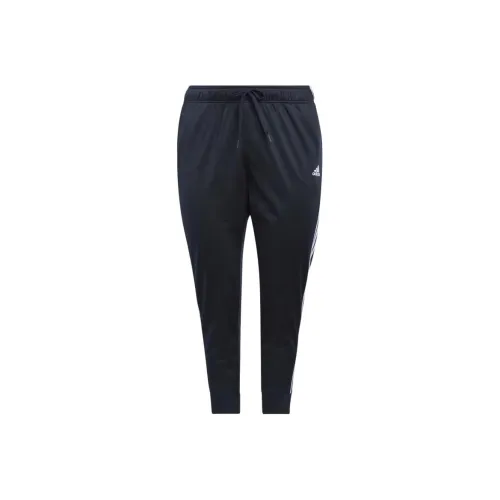 Adidas Free Shipping With AdiClub Essentials Warm-Up Slim Tapered 3-Stripes Track Pants Plus Size