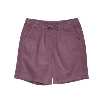 Quiksilver Taxer 18 Casual Shorts Men's Violet