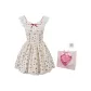 Pink Dress+Box