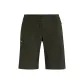 Dark Olive Green