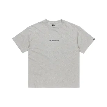 Quiksilver T Shirts Men Gray SGRH