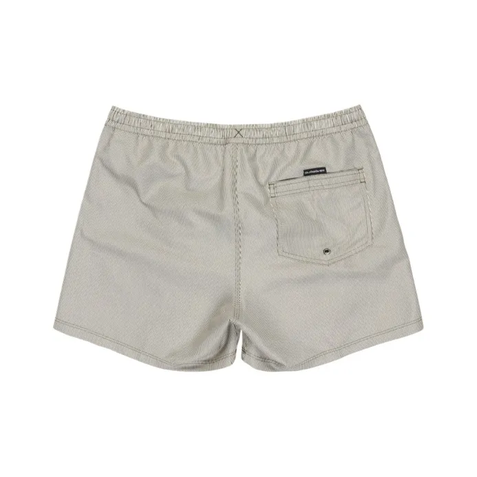 Quiksilver Everyday Deluxe Swimming Shorts Men's Gray-1