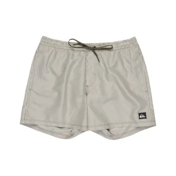 Quiksilver Everyday Deluxe Swimming Shorts Men's Gray