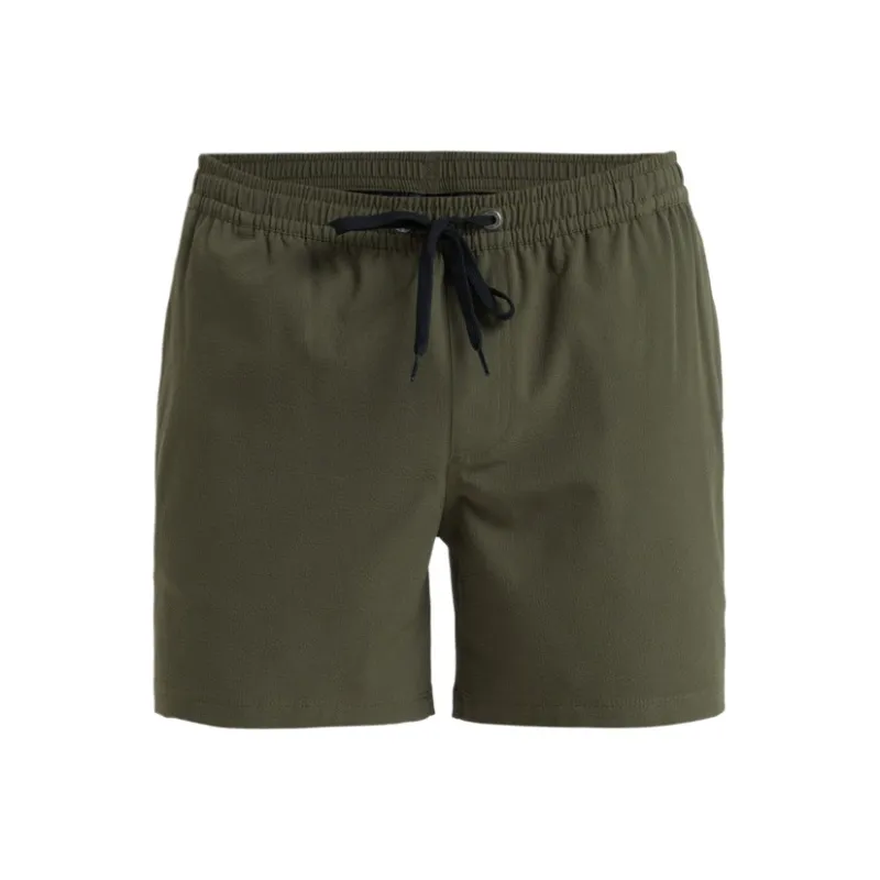 Quiksilver Everyday Flex Volley Beach Shorts Men's Grape Leaf Green-2