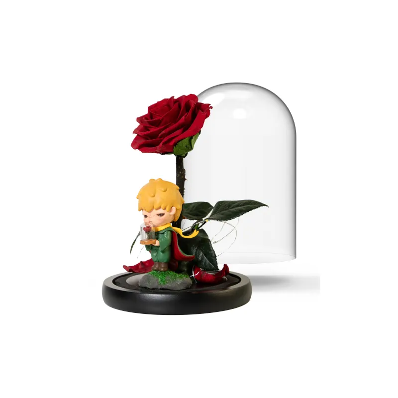 [Modified Doll] POP MART HIRONO X LePetit Prince Collection The Little Prince ONLY U Hang Tag Box 10cm-1