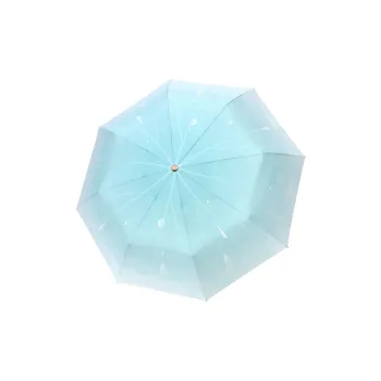 Mrs. Luban Umbrellas