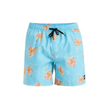 Quiksilver Swimming Shorts Men's Blue