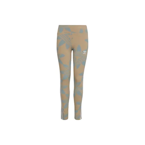Adidas Adidas Always Originals Leggings Women's Multicolor/Magic Gray/Magic Beige