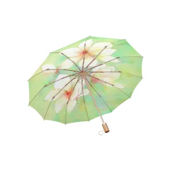 Mrs. Luban Umbrellas