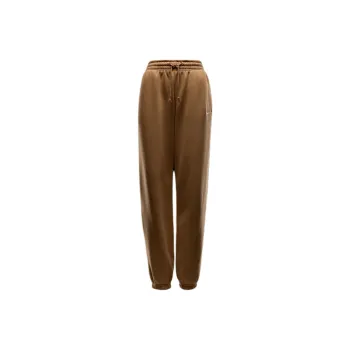 Nike Sportswear Phoenix Fleece Women's High-Waisted Oversized Sweatpants