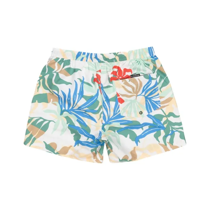 Quiksilver Everyday Straight Swimming Shorts Men's Multicolor-1