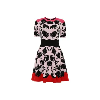Alexander McQueen Short Sleeved Dresses Women's Multicolor